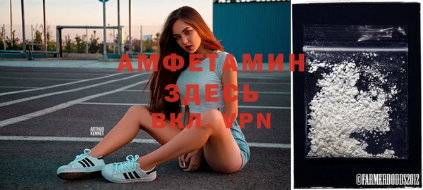 твердый Володарск