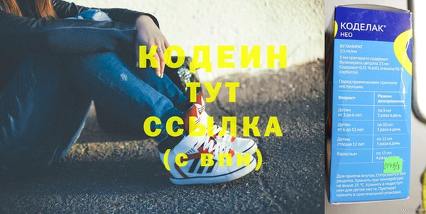 твердый Володарск