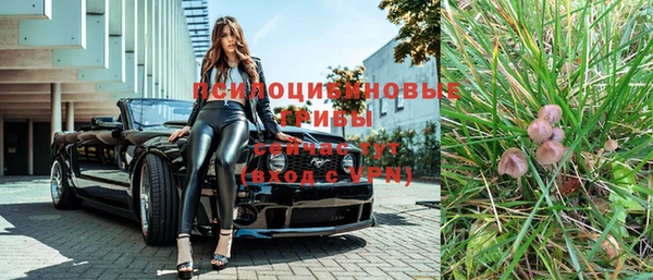 твердый Володарск